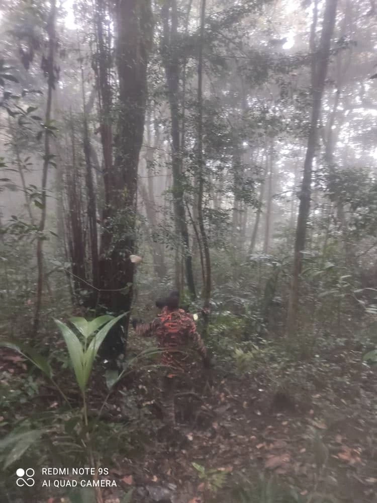 เฮลิคอปเตอร์บุคลากรการแพทย์ตกในป่าเมืองบรินชาง ที่มาเลเซีย