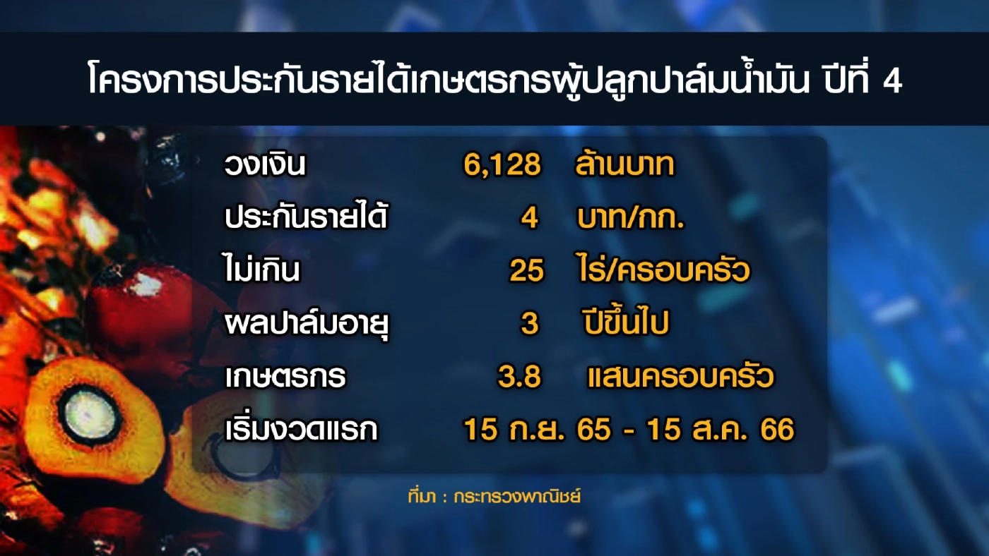บอร์ดปาล์มไฟเขียว 'ประกันรายได้' ชาวสวนปาล์ม