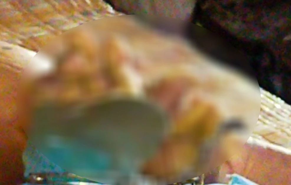 ล่าอดีตทหารเกณฑ์โหด จับพ่อเฒ่าวัย 74 ปี  ใส่กุญแจมือไพล่หลัง ทุบจนเสียชีวิต