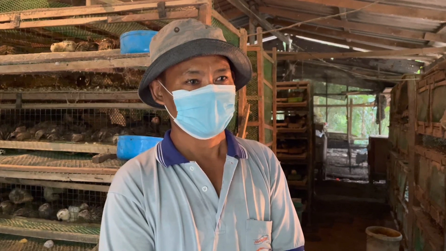 เจ้าแรกใน จังหวัดตรัง เลี้ยง “นกกระทา” ครบวงจรขายสร้างรายได้