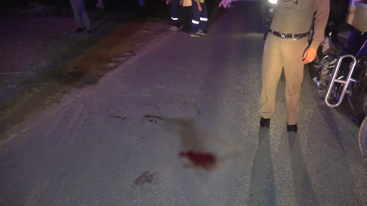 เขยโหดแทงคอแม่ยายดับ พี่เขยสาหัส ยอมเข้ามอบตัวแต่โดยดี ระบุ ไม่ได้ตั้งใจ