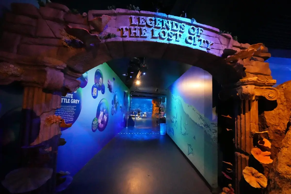 ค้นหาอาณาจักรสาบสูญ "The Lost City" เมืองลับใต้ทะเลลึกสุดมหัศจรรย์