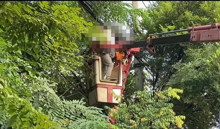 กรรมสนอง โจรลักสายไฟ ถูกไฟฟ้าดูดติด 2 วัน 2 คืน ดับคาสายสื่อสาร