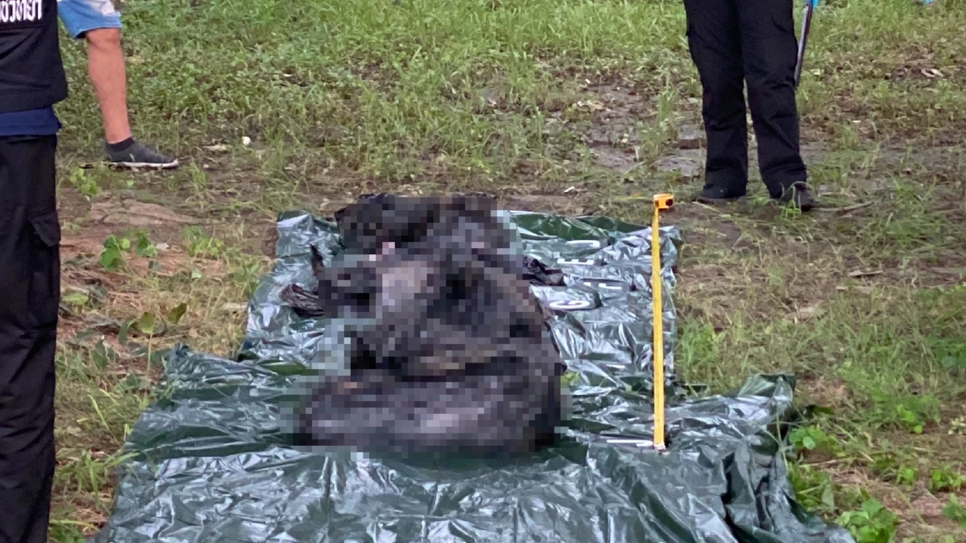 นำศพขึ้นมาพืสูตร