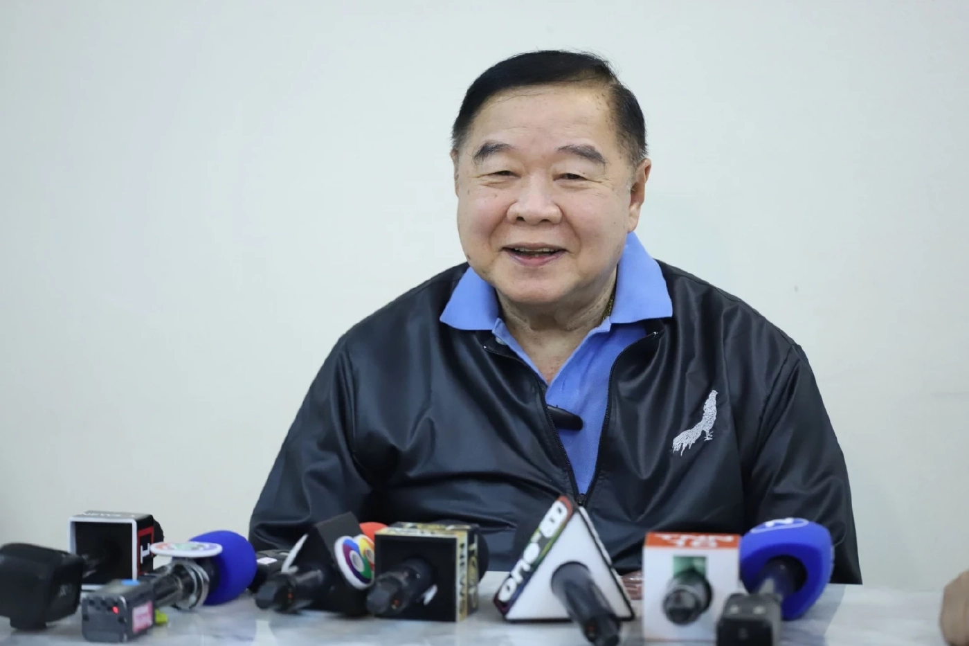 พล.อ.ประวิตร  วงษ์สุวรรณ หัวหน้าพรรคพลังประชารัฐ 