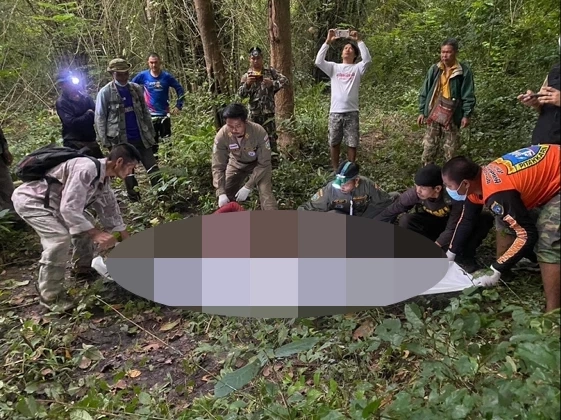สลด หนุ่มท่ากระดานโชคร้าย เก็บเห็ดในป่า ถูกช้างไล่กระทืบ เสียชีวิต