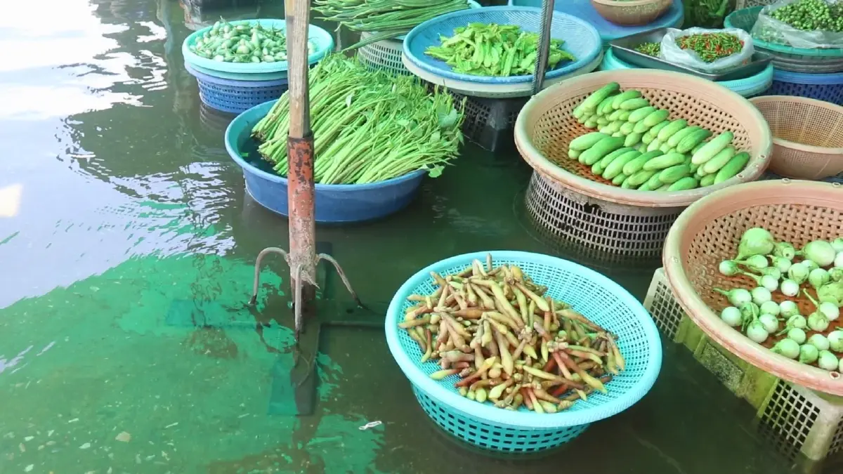 แม่น้ำยมทะลัก ท่วมย่านเศรษฐกิจโพธิ์ประทับช้าง 300 หลังคาเรือนจมน้ำ (คลิป)