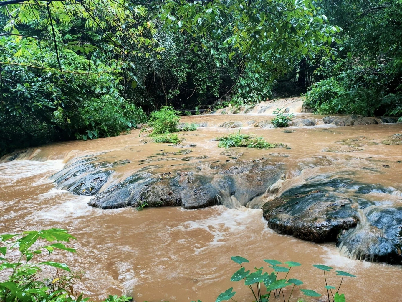 ไม่ใช่แค่ 20 เผยยอดชาวบ้านหาเห็ดติดป่า 3 วัน เกือบ 100 คน ยังไม่สามารถช่วยได้