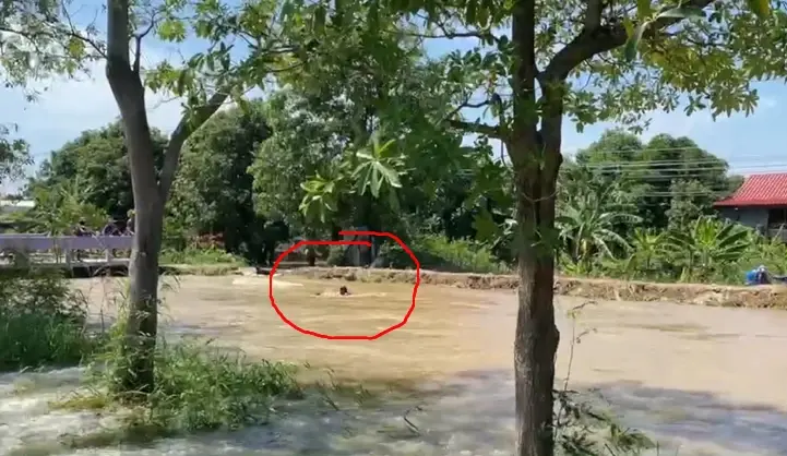 ระทึก นาทีชีวิตมูลนิธิร่วมกตัญญูช่วยชีวิตลุงพายเรือถูกน้ำดูด (มีคลิป)