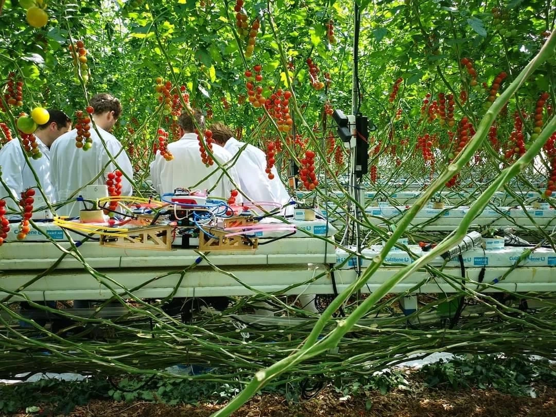 นิสิตไทยเจ๋งคว้าที่ 3 ของโลกกับการแข่งขัน IMAV 2022  ที่ ประเทศเนเธอร์แลนด์