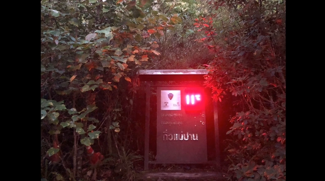 นักท่องเที่ยวแห่รับลมหนาว พร้อมชมทะเลหมอก รับแสงแรกแห่งอรุณยามเช้า ดอยอินทนนท์