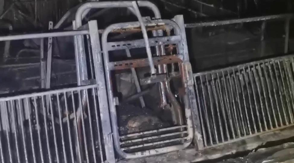 บุรีรัมย์ ไฟไหม้ฟาร์มหมู ย่างสดแม่พันธุ์กว่า 160 ตัว