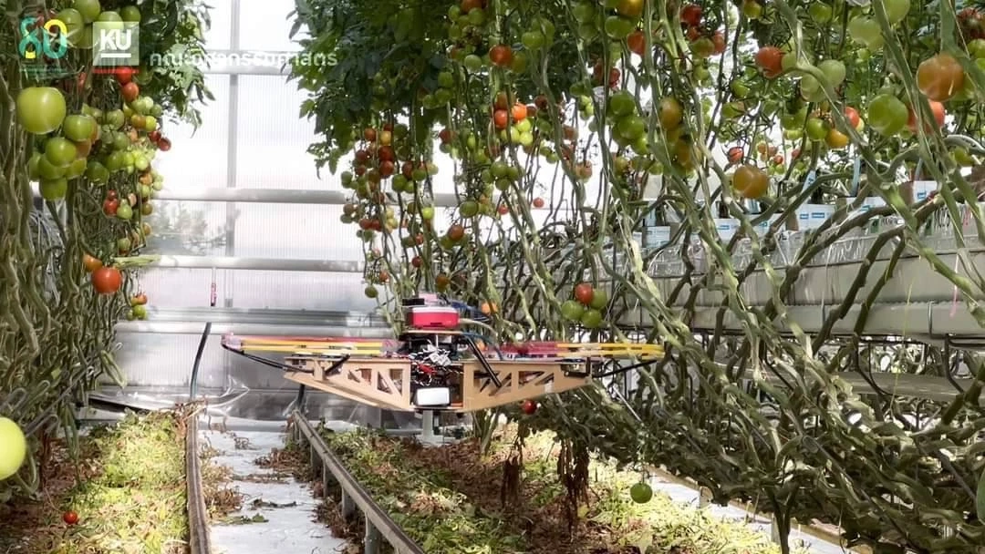 นิสิตไทยเจ๋งคว้าที่ 3 ของโลกกับการแข่งขัน IMAV 2022  ที่ ประเทศเนเธอร์แลนด์