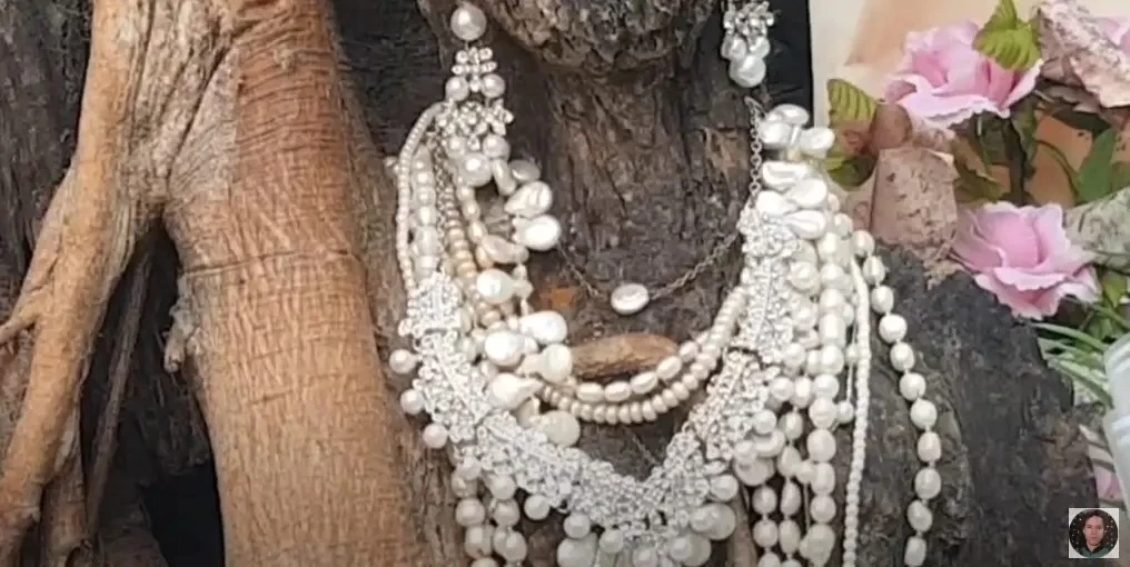 เลขเด็ด พี่สาวต้นไม้ งวด 1/11/65 ย้ำดังๆ ใครตาดีมีสิทธิได้ลุ้นเงินก้อนใหญ่(มีคลิป)