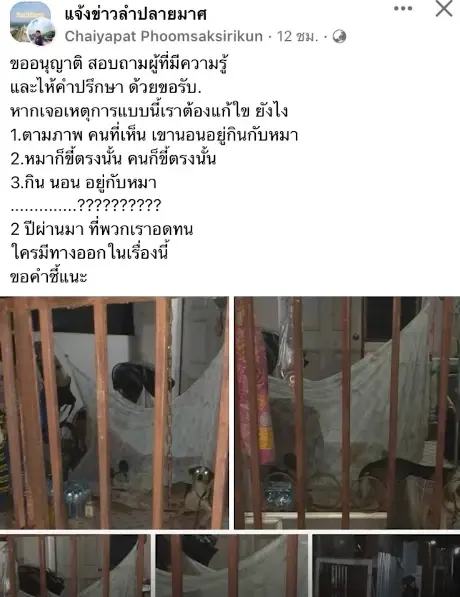 อนาถ ร้องช่วย “หญิงเสียสติ” ถูกทิ้งให้กินอยู่กับหมา 2 ปี ขับถ่ายข้างถนน