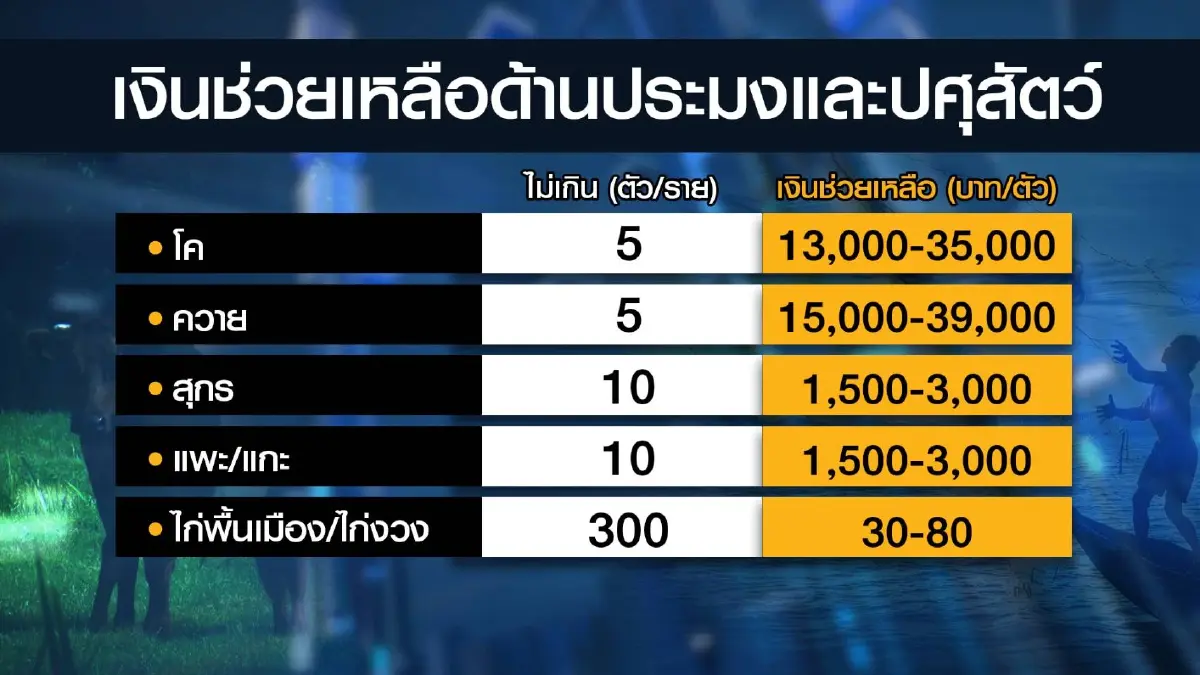 เกษตรกรอุบลฯ วอนรัฐ ‘เพิ่ม’ เงินเยียวยาน้ำท่วม