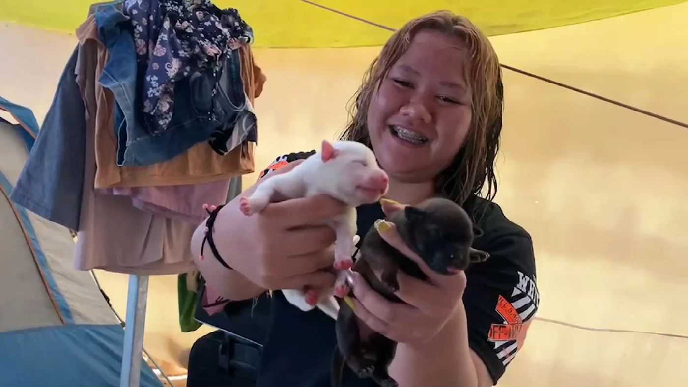 เอ็นดูพ่อหมานั่งเปิดรับบริจาค หาค่านมเลี้ยงลูก 8 ชีวิต
