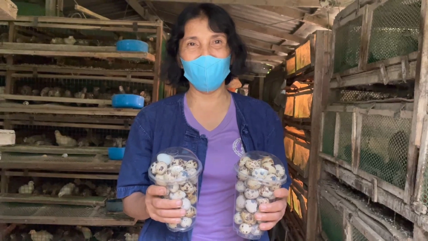 เจ้าแรกใน จังหวัดตรัง เลี้ยง “นกกระทา” ครบวงจรขายสร้างรายได้
