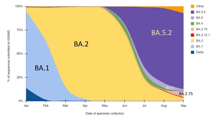 พบโอมิครอนสายพันธุ์ใหม่ "BQ.1.1" และ "XBB" กรมวิทย์ฯยืนยันไม่เจอในไทย