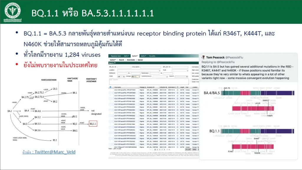 ด่วน! สธ.เผยไทยพบ "โอมิครอน XBB" แล้ว 2 ราย สายพันธุ์อาจหลบภูมิคุ้มกันเก่งสุด