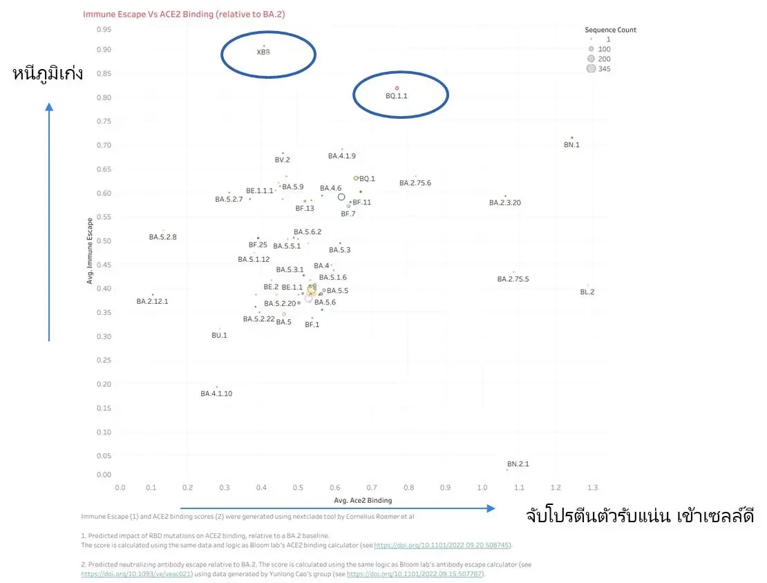 "ดร.อนันต์" หวั่น "โอมิครอนXBB - BQ.1.1" ผสมกัน ส่งผลยอดติดโควิดพุ่งสูง