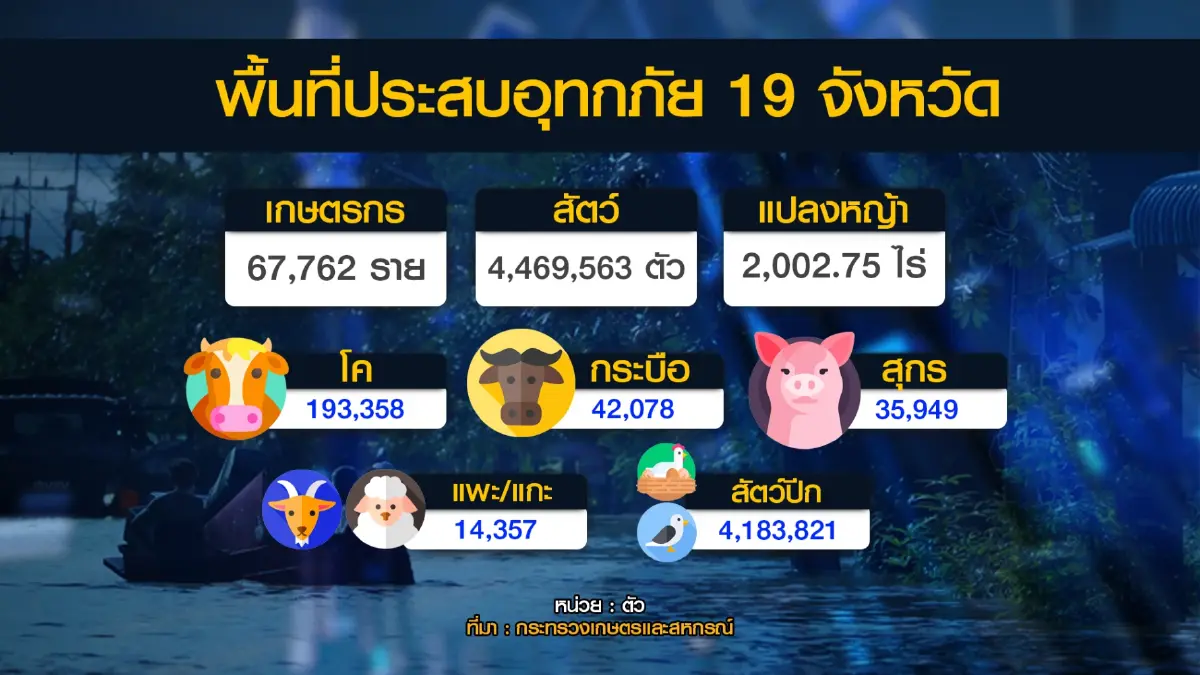 กระทรวงเกษตรฯ เร่งส่งเสบียงสัตว์กว่า 4 ล้านตัว