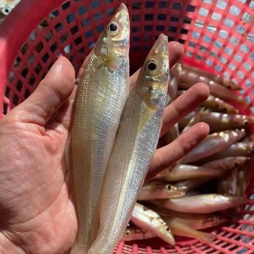 เปิดวาร์ปร้านอาหารใต้หนึ่งเดียวในไทยคว้ารางวัลระดับโลก