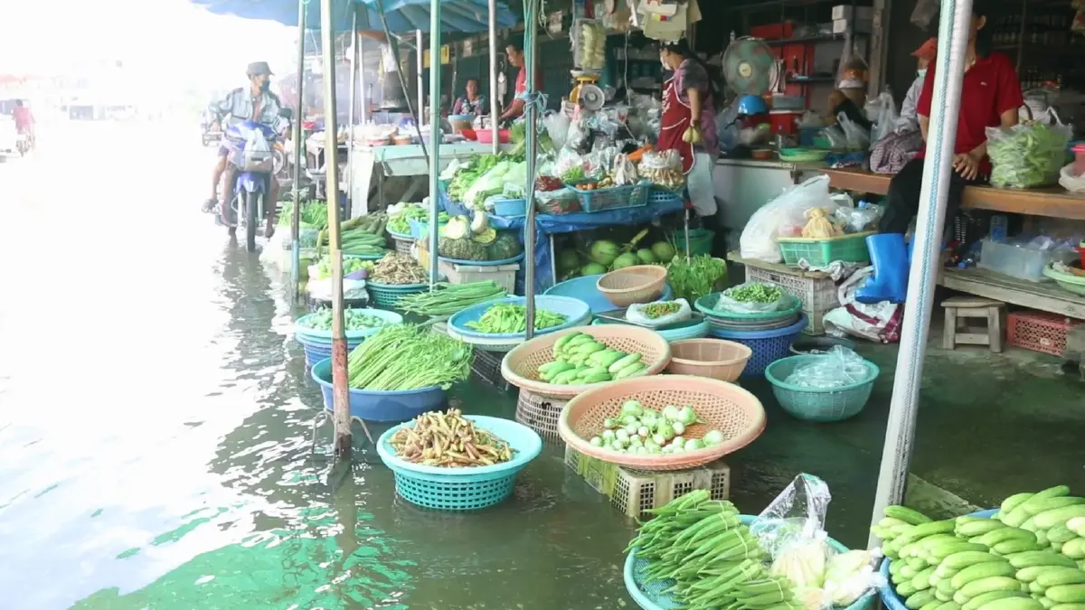 แม่น้ำยมทะลัก ท่วมย่านเศรษฐกิจโพธิ์ประทับช้าง 300 หลังคาเรือนจมน้ำ (คลิป)