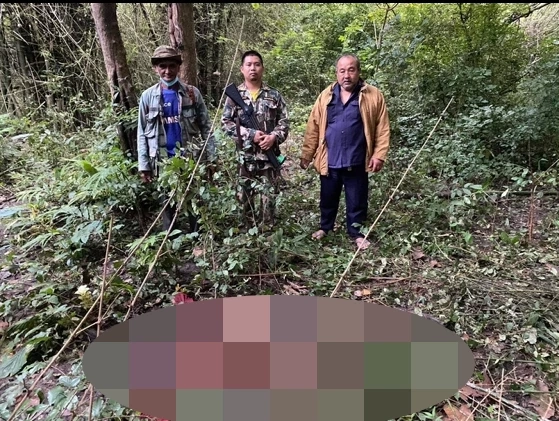 สลด หนุ่มท่ากระดานโชคร้าย เก็บเห็ดในป่า ถูกช้างไล่กระทืบ เสียชีวิต