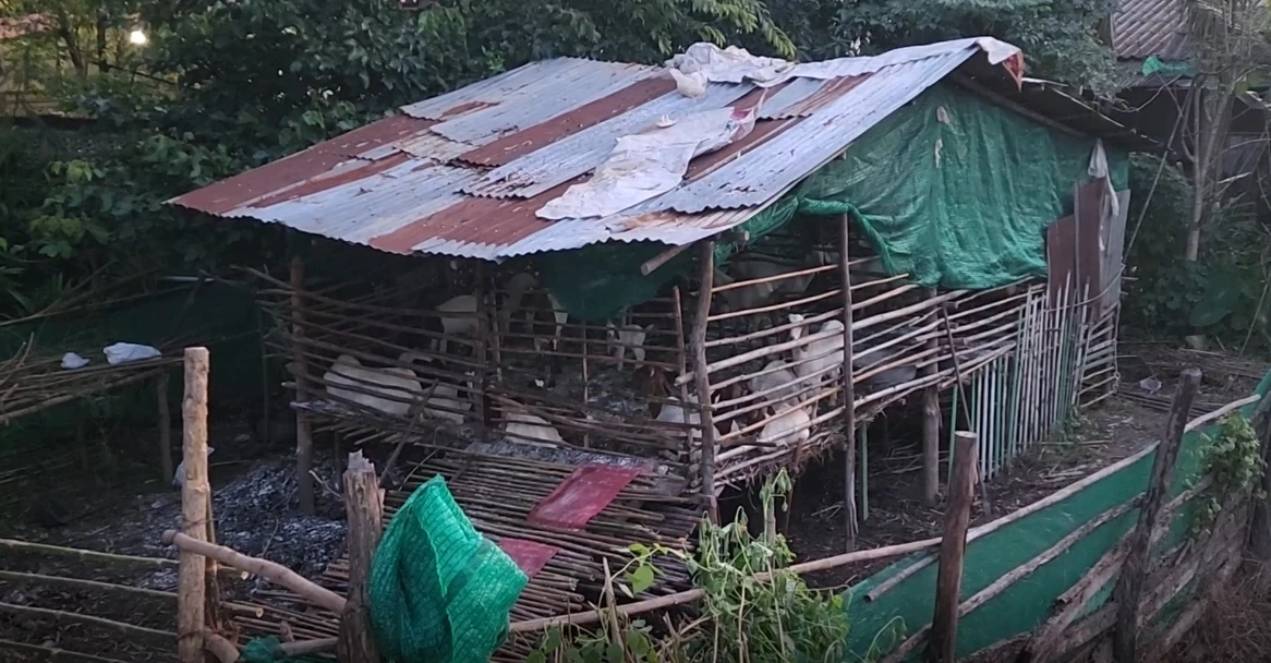 ขี้แพะส่งกลิ่น “อดีตผช.ผญบ.” เดือดยิงถล่ม ครอบครัวเจ้าของคอกแพะ  ดับ 1 เจ็บ 2