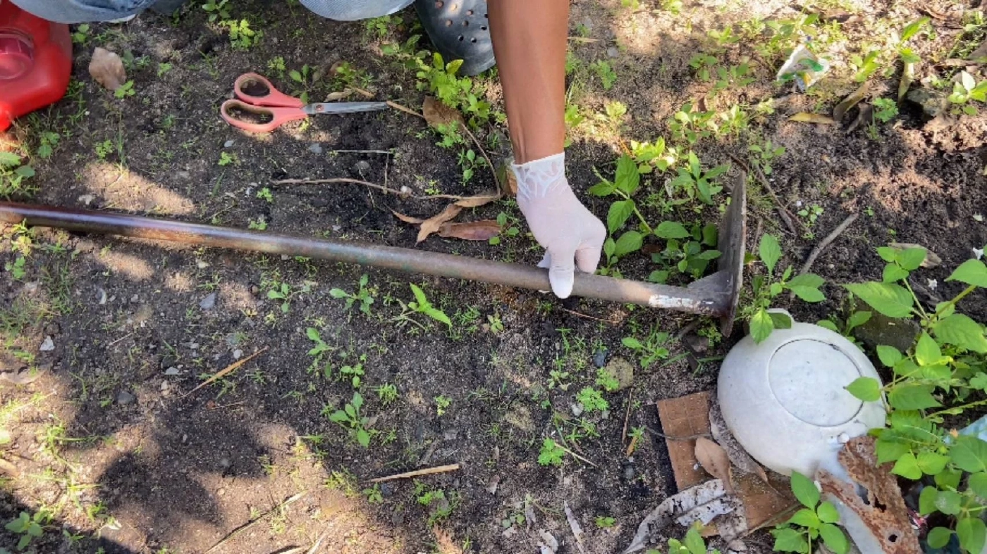 อาวุธที่หลานคลั่งยาใช้ก่อเหตุ