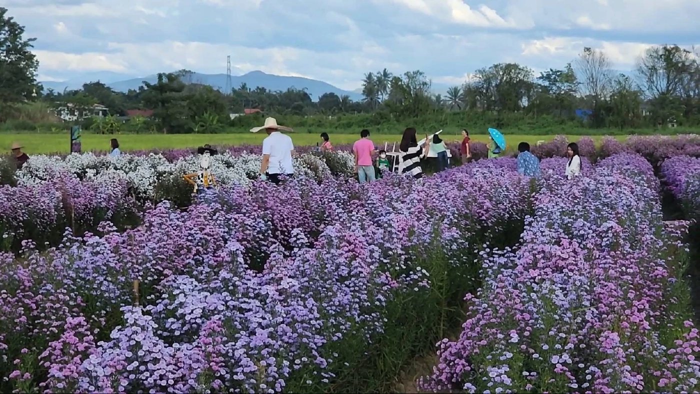 นักท่องเที่ยวคึกแห่เที่ยวเชียงใหม่