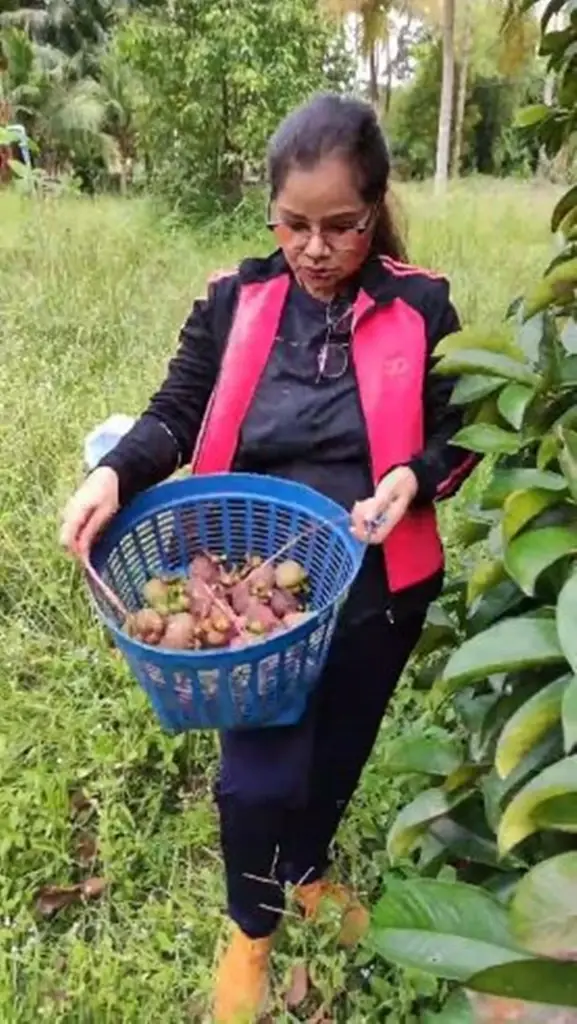 เล่าทั้งน้ำตา “ลูกนก สุภาพร” เผยเหตุผลขอแยกทางอดีตสามี จบชีวิตคู่10 ปี