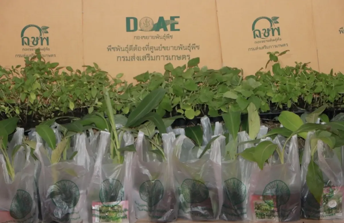 "รมว.เกษตร"สั่งเดินหน้าฟื้นฟูเกษตรกร บรรเทาเดือดร้อนผู้ประสบอุทกภัย