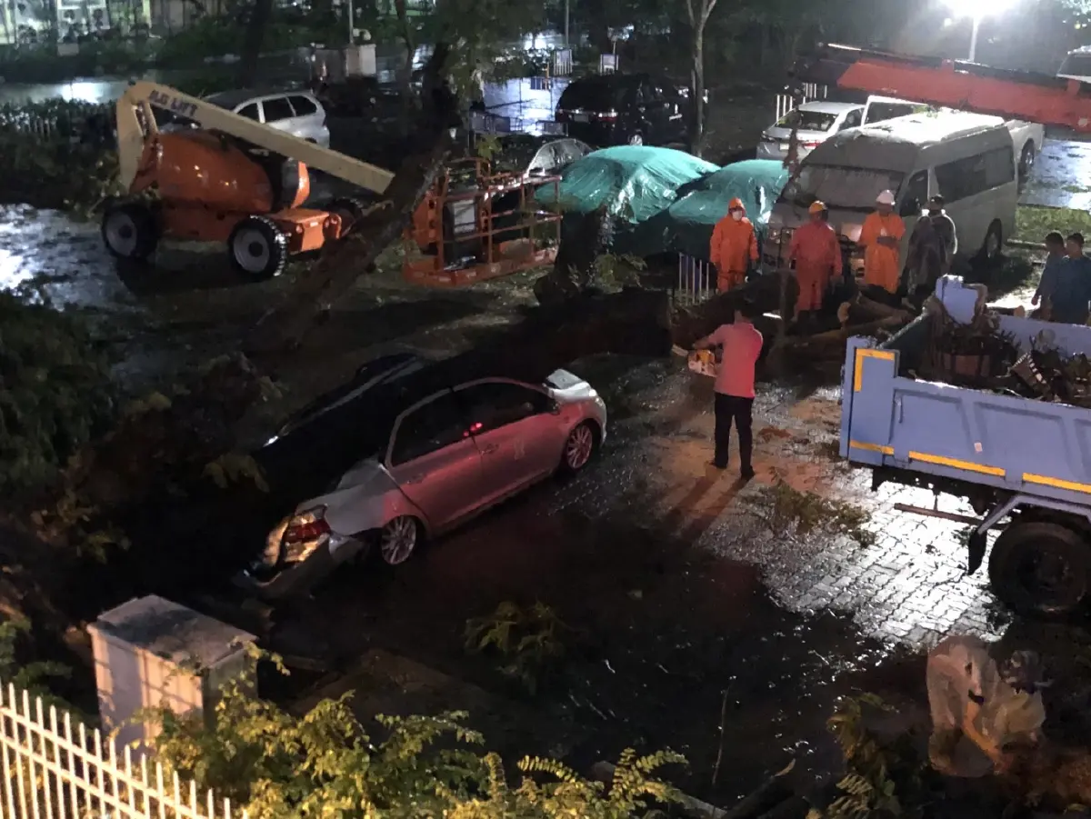 ฝนถล่มต้นไม้ล้มทับรถในจุฬาฯ เสียหาย 2 คัน