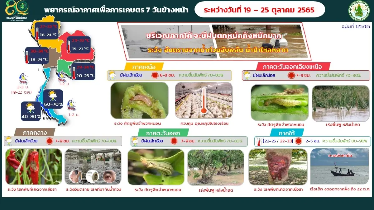 กรมอุตุนิยม ประกาศ ฉ.13 พายุเนสาท อ่อนกำลังลงเป็นพายุดีเปรสชันแล้ว