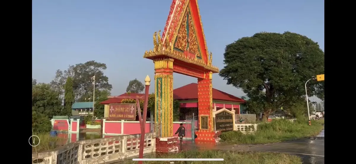 เร่งย้ายวุ่น "หมูป่าวัดกลางเมือง" กว่า 50 ตัว หลังน้ำล้นทะลักท่วมสูง 1 เมตร