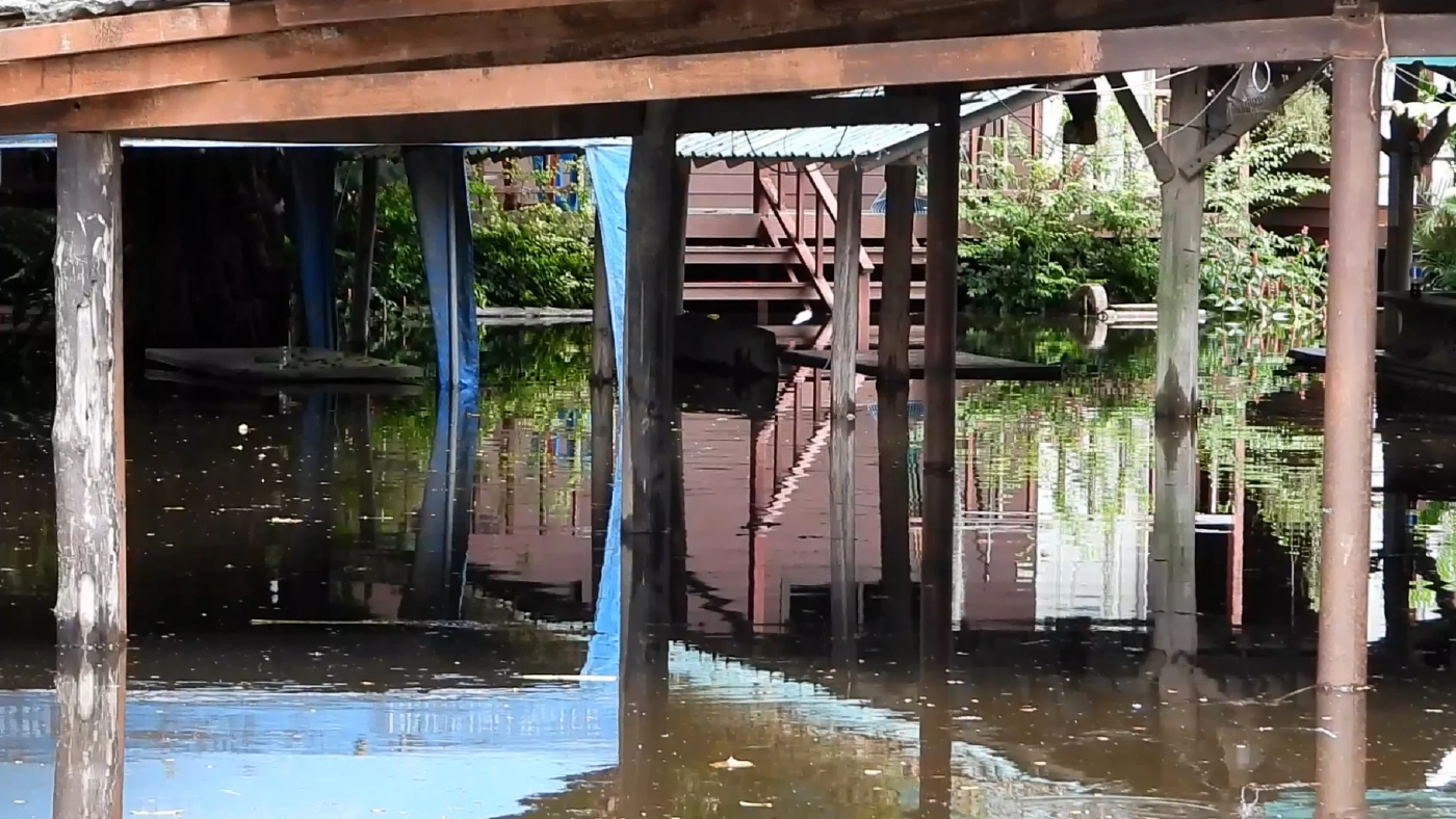 แม่น้ำลพบุรี จ่อท่วมเพนียดอยุธยา เตรียมย้ายช้างนับร้อยเชือกหนีน้ำ