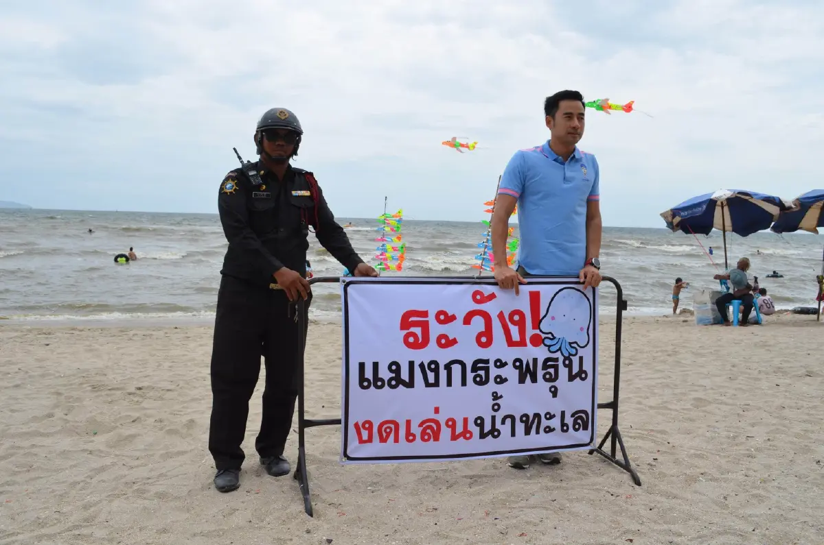 เตือนเล่นน้ำทะเลหลังฝนตก ระวัง "แมงกะพรุนพิษ"