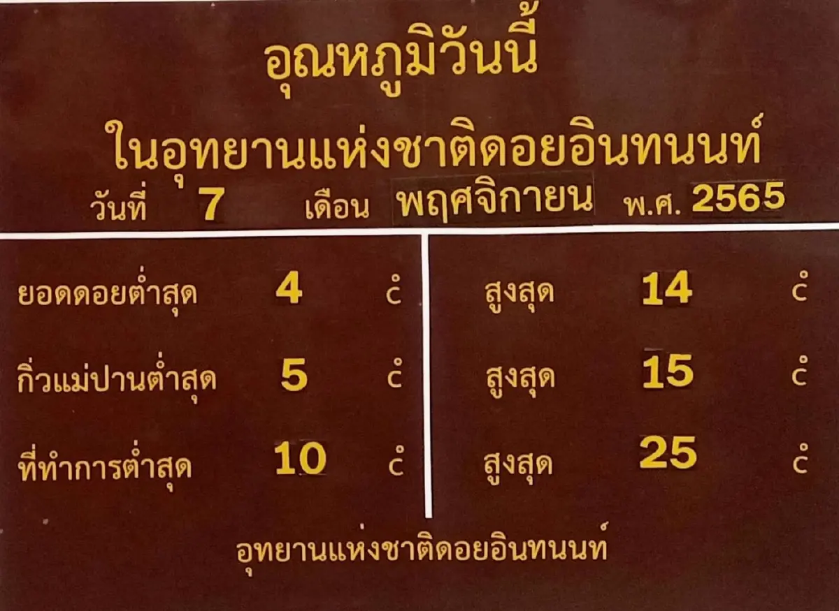 มาแล้ว“เหมยขาบ”แรก ฤดูหนาวปีนี้ ดอยอินทนนท์อุณหภูมิลดเหลือ 4 องศา (คลิป)