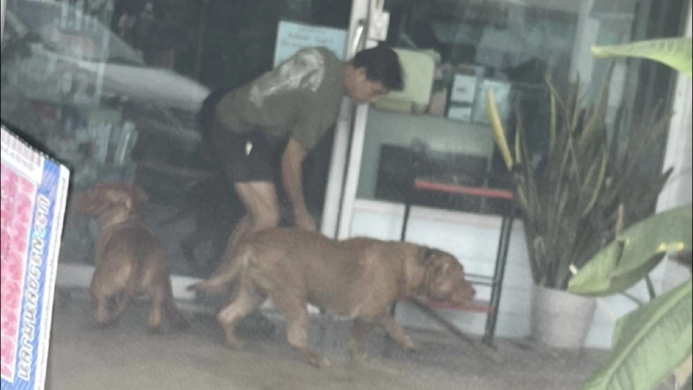 ผวา! สุนัขพิตบูล 2 ตัว หลุดมุดรั้วเข้าไปรุมขย้ำหนุ่ม 17 ปีถึงในบ้าน (คลิป)