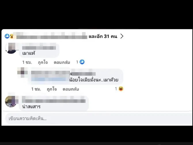 ตัวอย่างความคิดเห็นชาวเน็ต