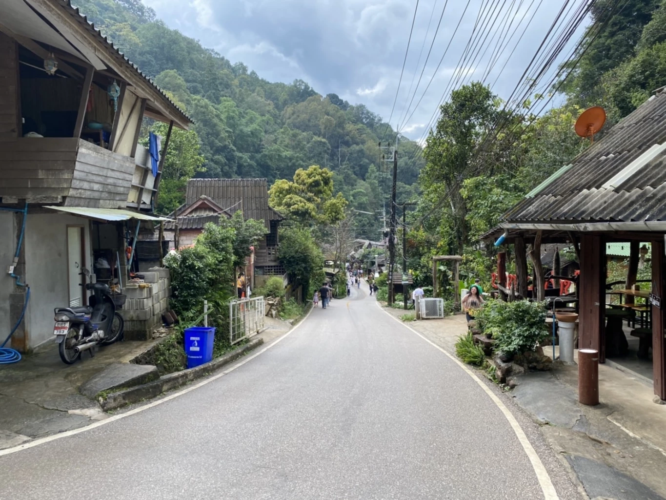 ไฮซีซั่น "แม่กำปอง" คึกคัก นทท.แห่สัมผัสอากาศหนาว