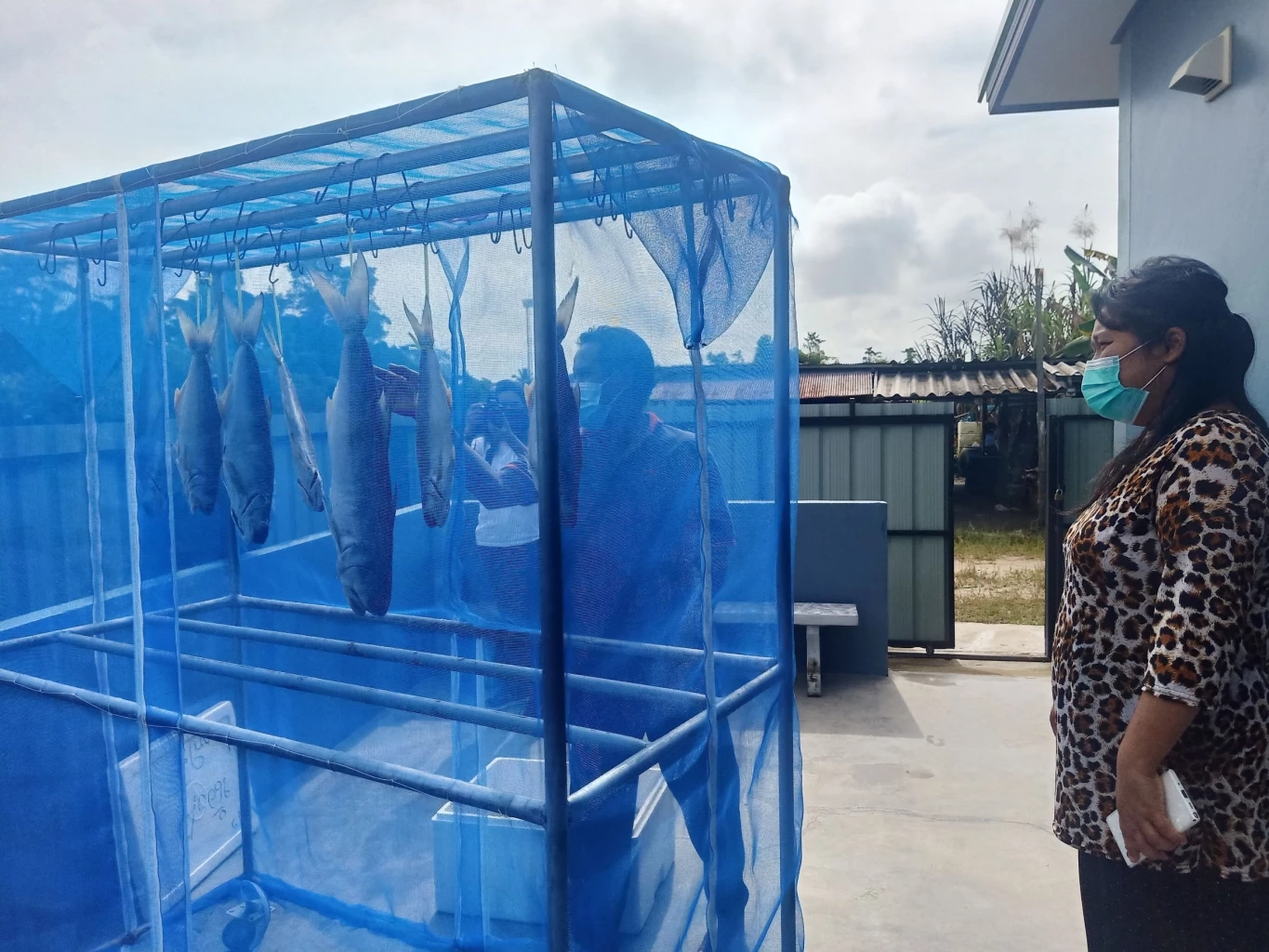 ร้านป้าอ้วนแจงปม "ปลากุเลาเค็ม" ตากใบ เหตุดราม่าทำสินค้าขายดีขึ้น