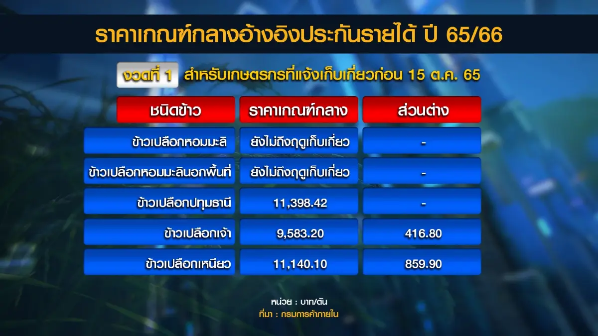 ชาวนาเฮ พาณิชย์เคาะจ่ายประกันรายได้รวดเดียว 6 งวด!