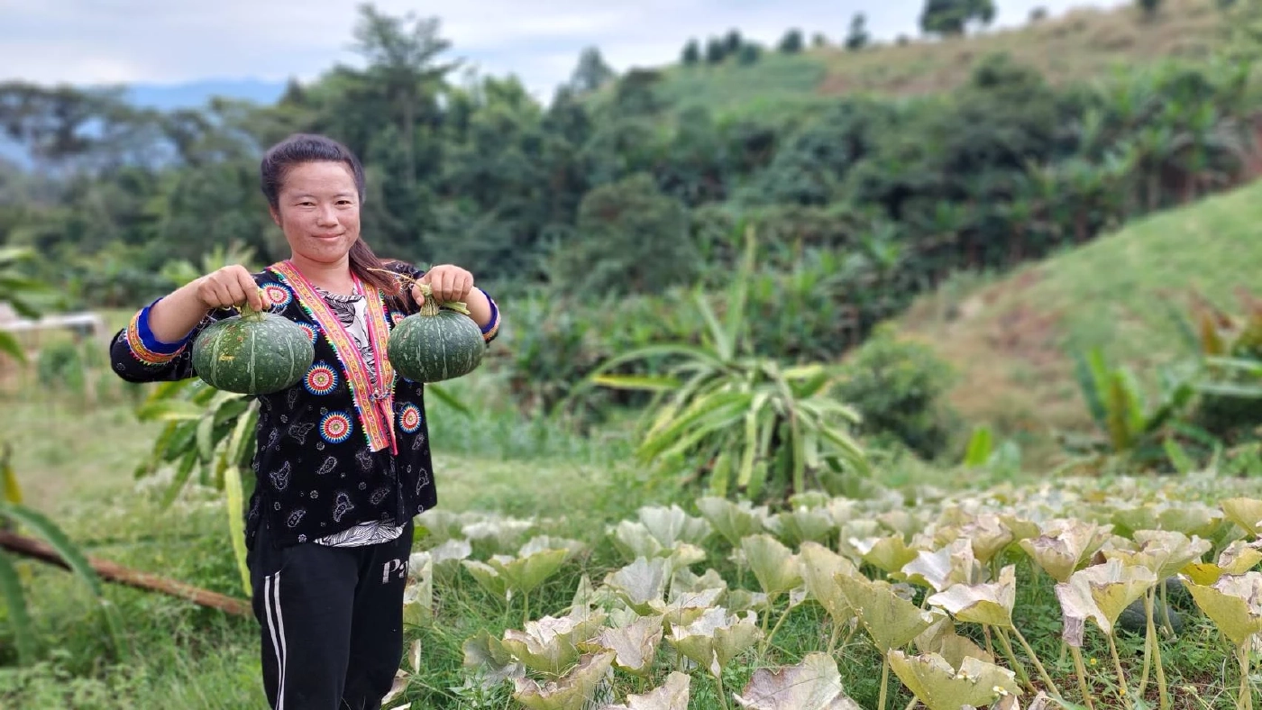 ดอยม่อนเงาะ