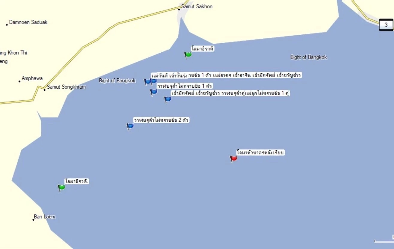 ทช.เผยข่าวดี พบสัตว์ทะเลหายาก 3 ชนิด ที่บริเวณทะเลสมุทรสาคร