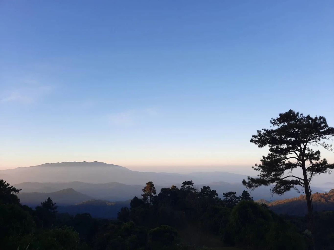 นักท่องเที่ยวแห่ขึ้นดอย ชมแสงแรกวันใหม่ เหมยขาบ ทะเลหมอก (คลิป)