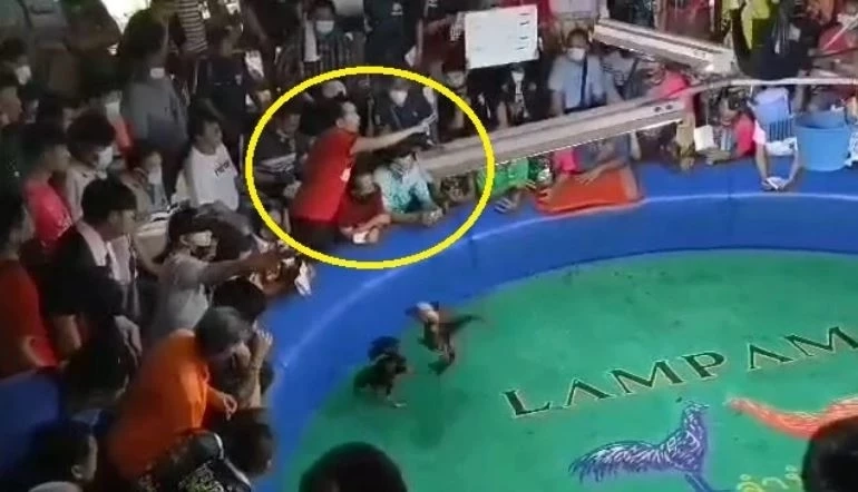 ภรรยา "เซียนไก่" เชื่อ ผู้ก่อเหตุวางแผนยั่วยุสามี ก่อนยิงเสียชีวิต