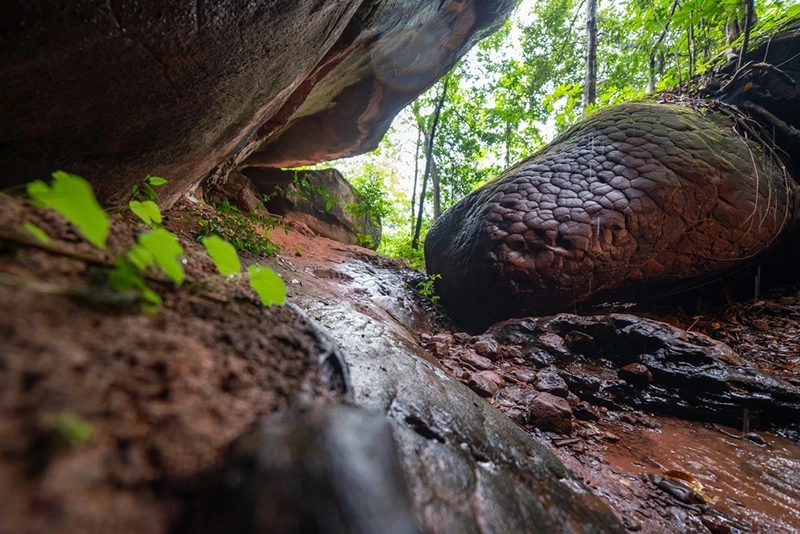 ถ้ำนาคา